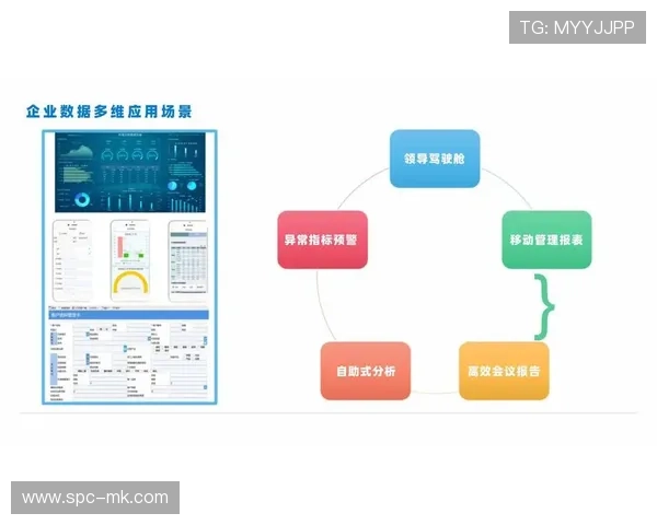 行业机制注重实时数据分析，支持快速决策